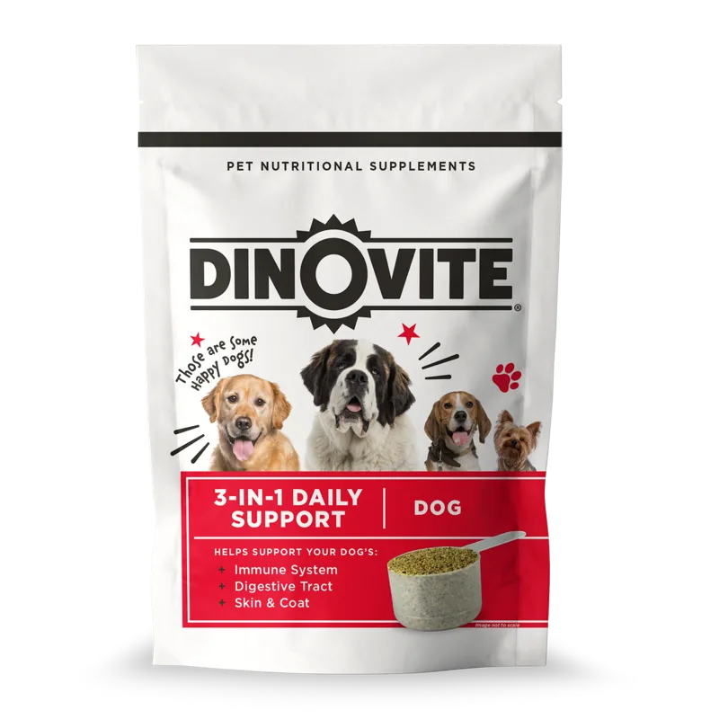 Dinovite